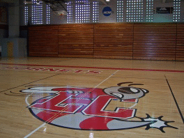 LynchburgCollegeHornetsRevised